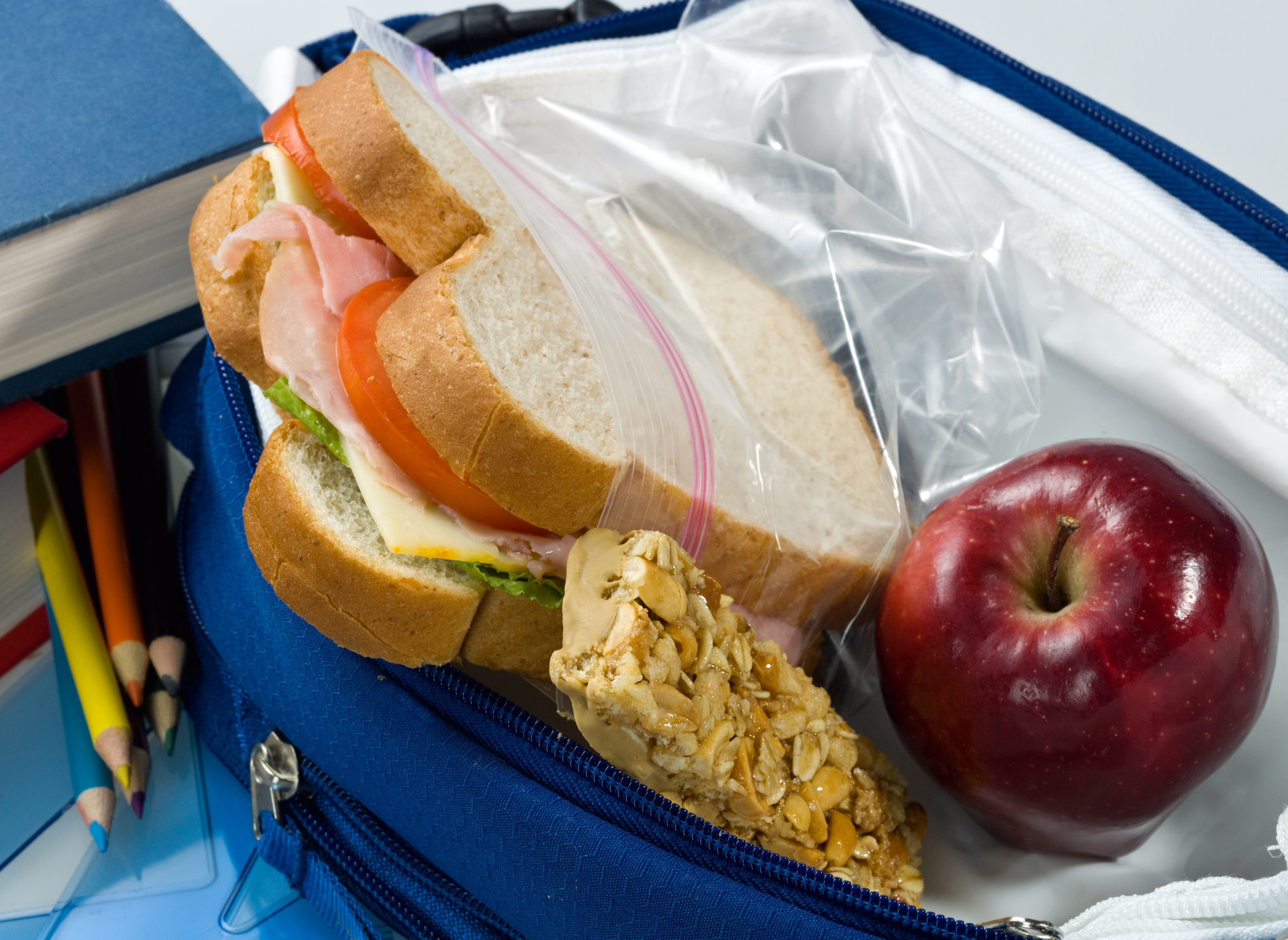 A packed lunch with a sandwich, granola bar, and apple.